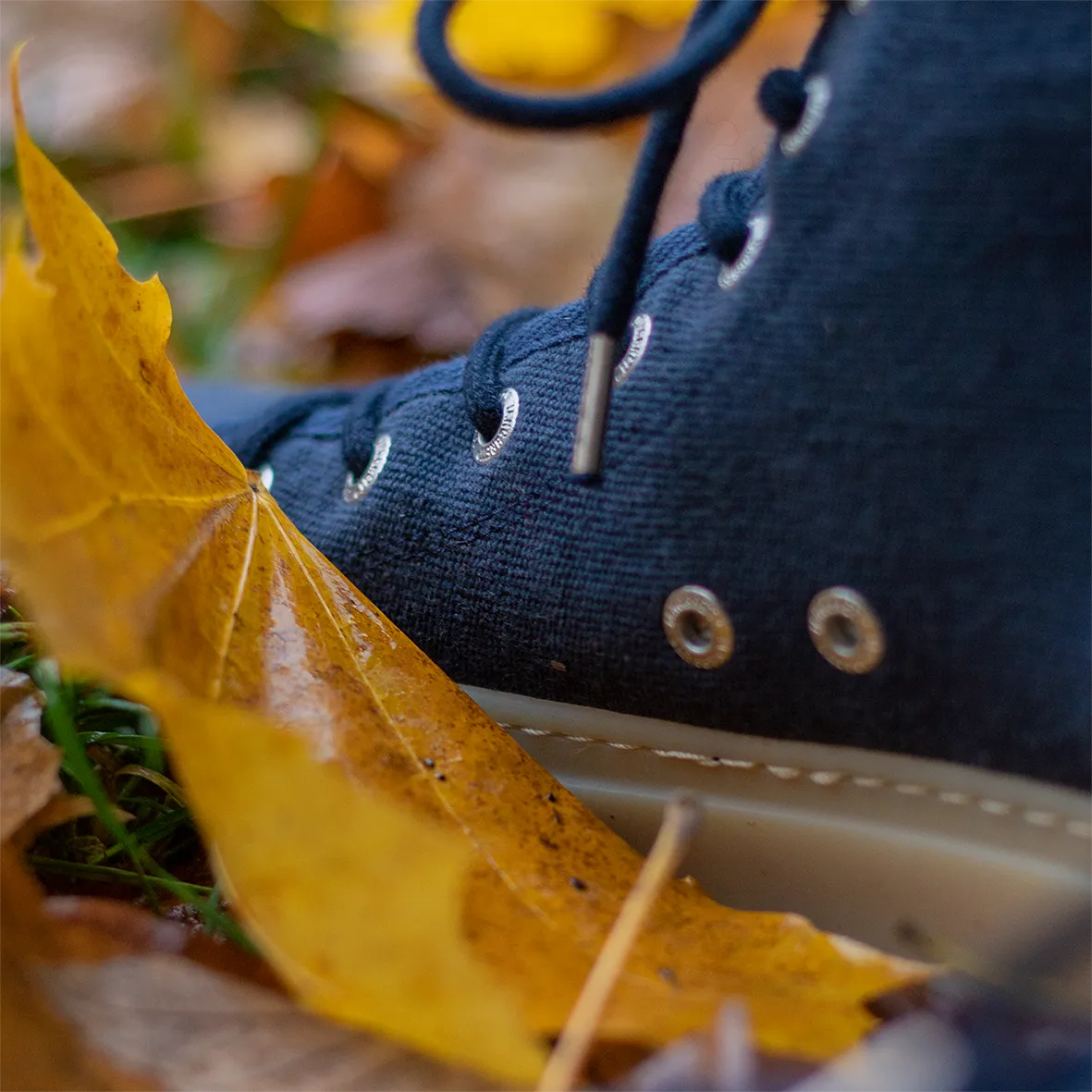 Langbrett GDR Sneaker Baumwolle dunkelblau vegan