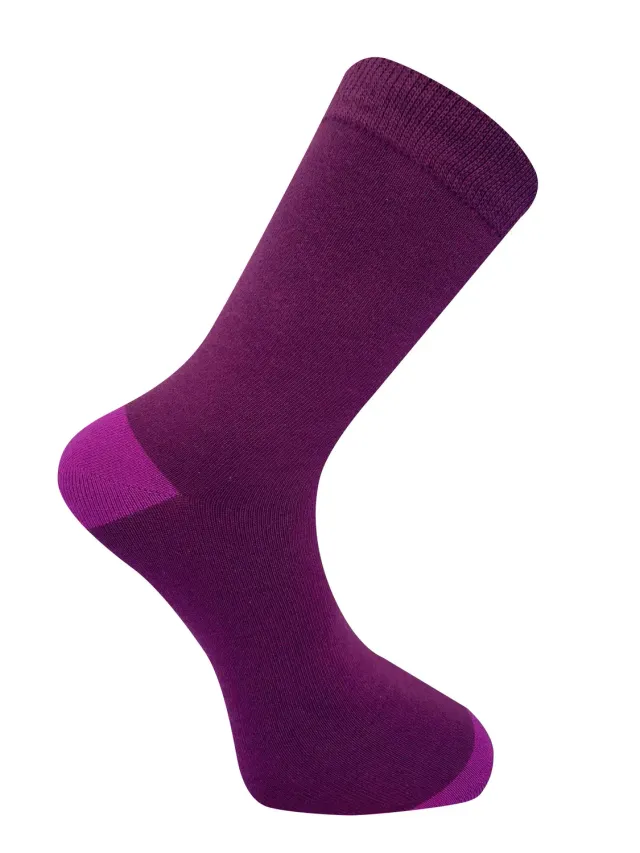Komodo Punchy Socken Lila Bio-Baumwolle EUR 41-43