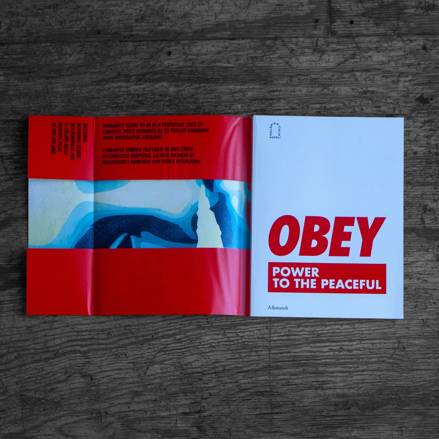 Obey Power to the Peaceful Buch 30 x 40 cm