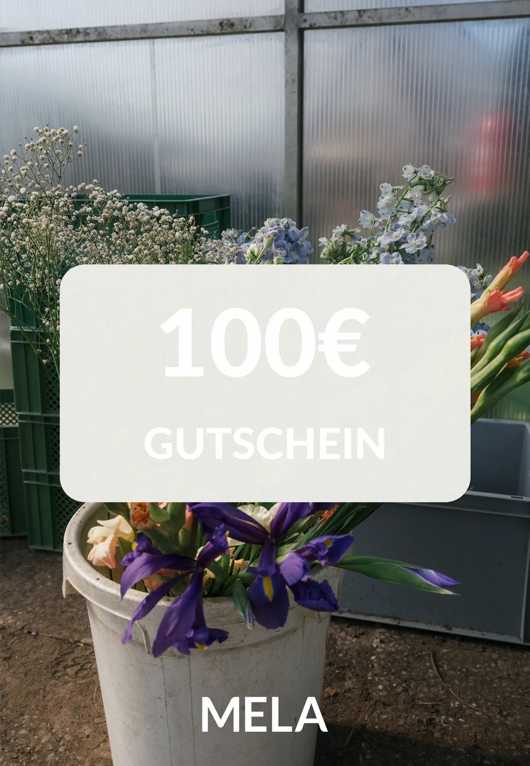 MELA Gutschein digital 50 € zum Ausdrucken für Kleidung