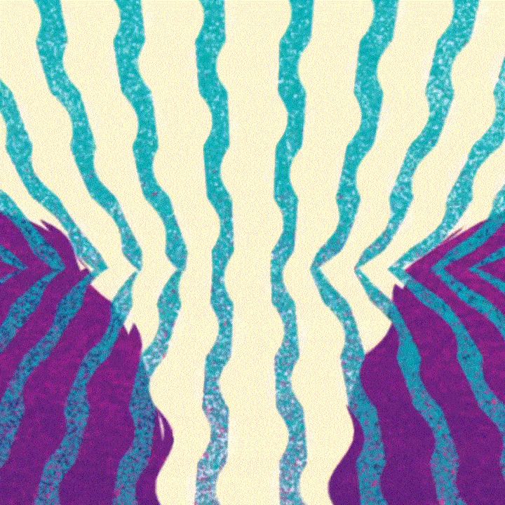 Obey Op Art Icon Lithografie 91x61cm offene Edition