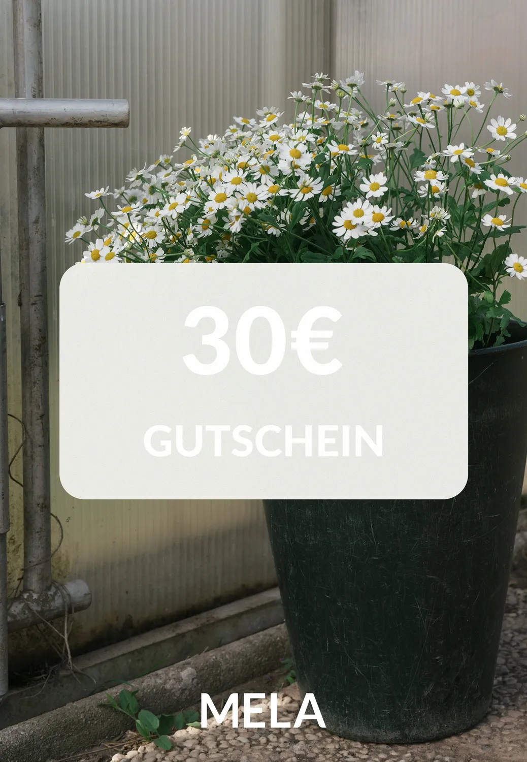 MELA Gutschein digital 50 € zum Ausdrucken für Kleidung